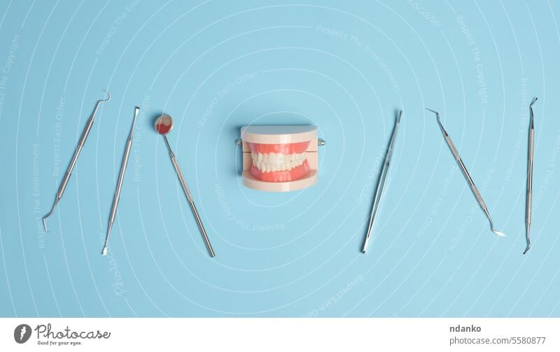 Kunststoffmodell eines menschlichen Kiefers mit weißen gleichmäßigen Zähnen und einem medizinischen Untersuchungsspiegel, Pinzette auf blauem Hintergrund
