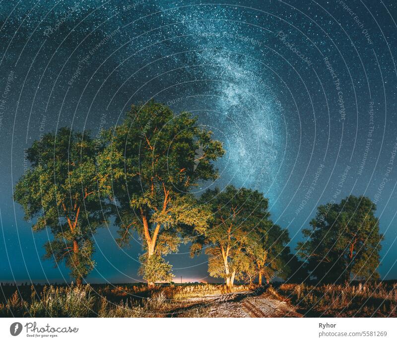 Milchstraße Galaxie in der Nacht Sternenhimmel über Baum im Sommer Wald. Glühende Sterne über Landschaft. Panorama Natur August Sterne am Nachthimmel