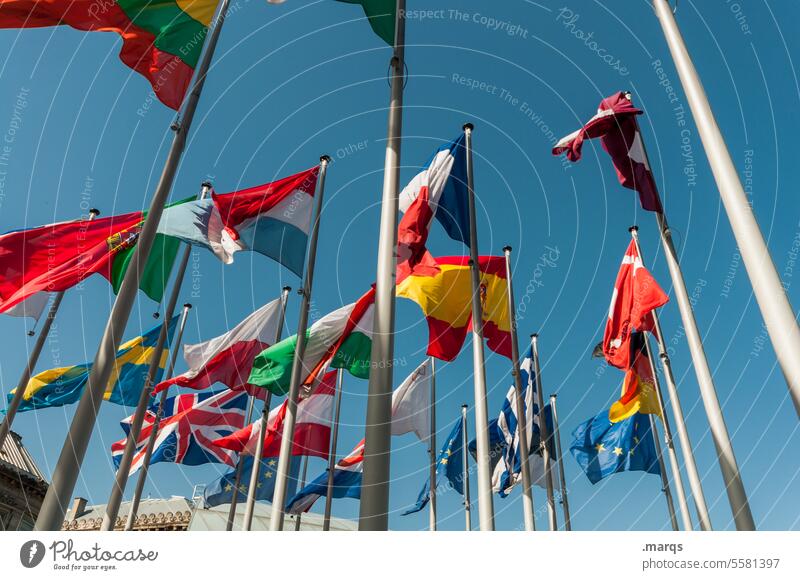 Flaggen Europa Politik & Staat international Fahne Wolkenloser Himmel Zusammenhalt Perspektive weltweit Polen Dänemark Frankreich Griechenland Deutschland