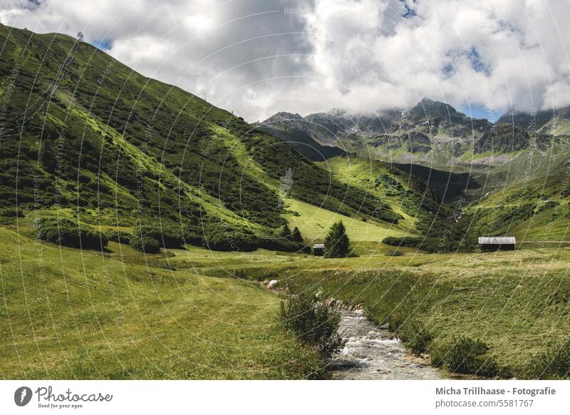 Alpenlandschaft in Tirol / Österreich Serfaus-Fiss-Ladis Komperdell Berge Täler Holzhütten Berghütten Landschaft Natur Nebel Nebelschwaden Gras Wiese Weide