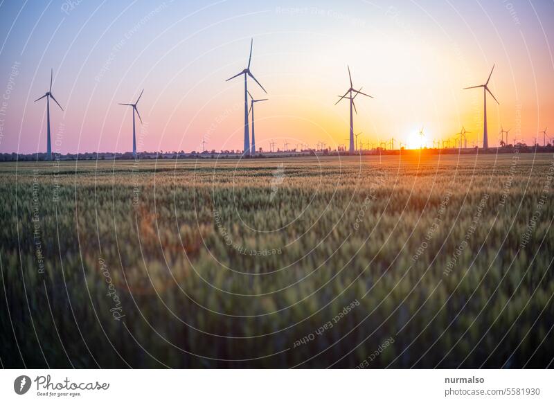 Am Abend der Energiewende ? Alternativ Wende Feld Energiewirtschaft sauber öko Getreide Stimmung Windrad Windmühle Industrie Nachhaltig Strom Wärmepumpe Solar