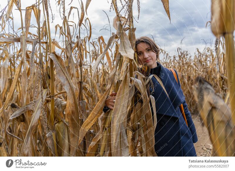 Frau steht im Herbst im Kornfeld und schaut in die Kamera Stehen stehen Maisfeld. Blick in die Kamera Mantel Reihen Feld fallen im Freien ländlich Landschaft