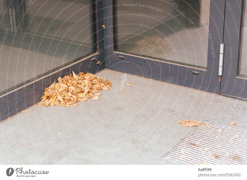 herbstlicher Laubhaufen im Eingangsbereich eines Bürogebäudes in der Stadt Herbstlaub Winter fallende Blätter Herbststimmung Blatt urban Stadtzentrum
