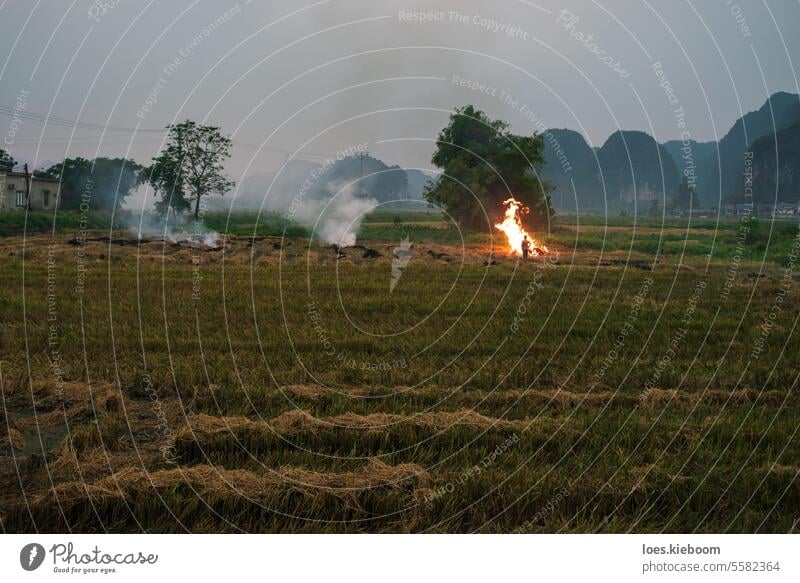 Verbrennung des Reisfeldes nach der Ernte vor einem Karstgebirge, Ninh Binh, Vietnam Feuer brennend Ackerbau Dunst Bauernhof Saison Person Asien