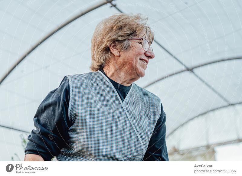 Glückliche ältere Gärtnerin im Gewächshaus, alte Frau, die den Boden für die Anpflanzung von neuem Gemüse vorbereitet Ernten Landwirtschaft knittern Rentnerin