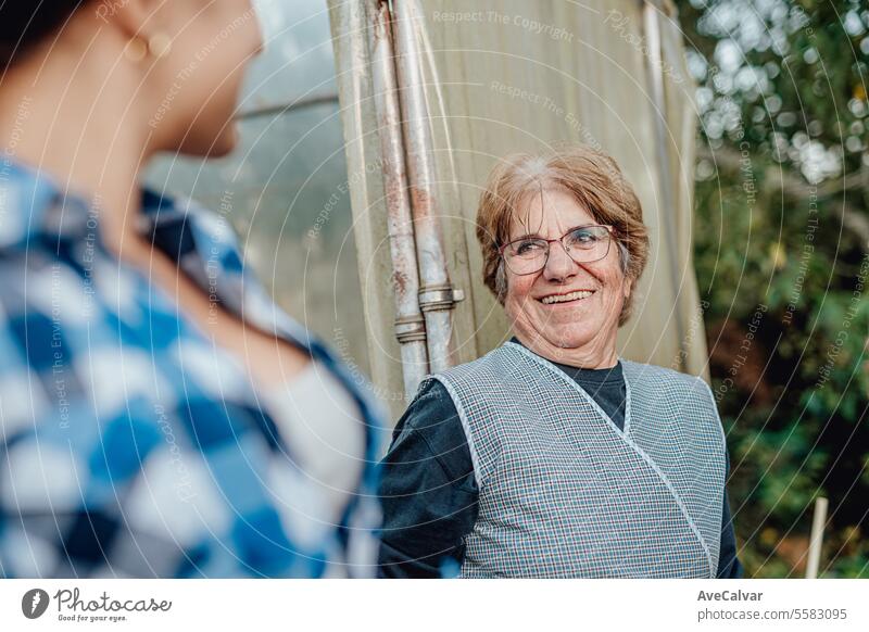 Ältere Menschen bei der Ernte von Gemüse im Gewächshaus. Arbeiter auf dem Land. Ruhestandsalter Frau Ernten Landwirtschaft Oma älter Rentnerin