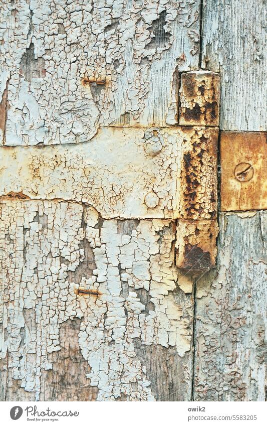 Rostiges Gelenk Tür Holz Scharnier Metall Farbe Strukturen & Formen Zahn der Zeit Außenaufnahme Farbfoto alt historisch Spuren Riss abblättern verfallen