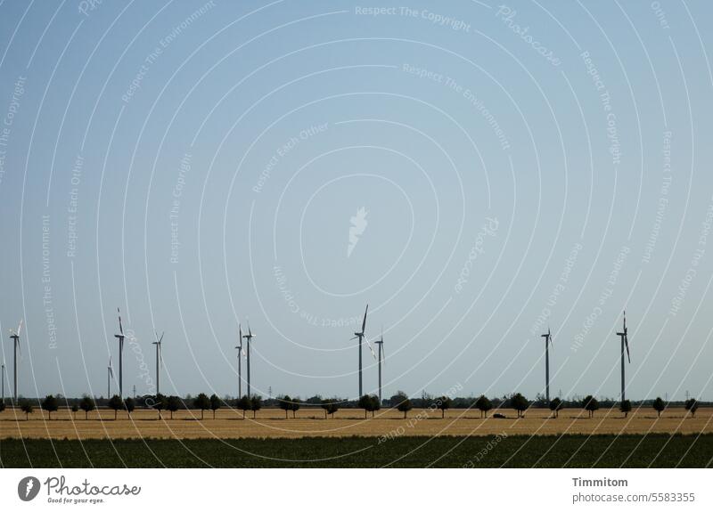 Windräder - irgendwo im Norden Ebene Norddeutschland Windpark Bäume Allee Erneuerbare Energie Energiewirtschaft Windkraftanlage umweltfreundlich Klimawandel