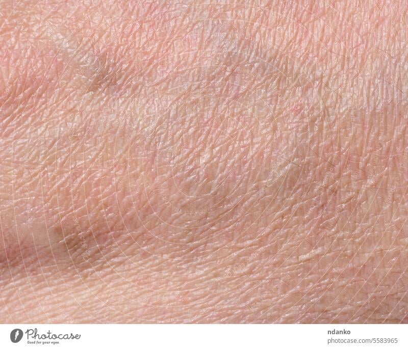Weiße Person Hautbeschaffenheit Hand Textur weiß Menschen trocknen knittern Makro Kaukasier menschlich Körper Dermatologie