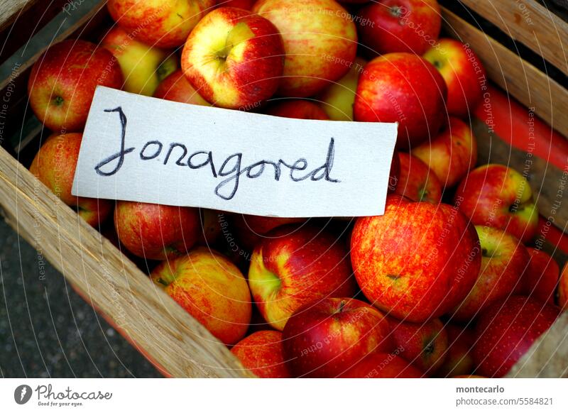 hilfreich | beschreibung Jonagored äpfel Vegane Ernährung vegan appetitlich Apfelernte Menschenleer Licht Tag natürlich Umwelt süß rot Ernte saftig lecker