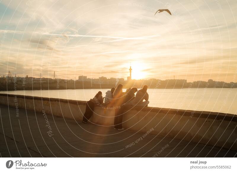 Gruppe von jungen Menschen auf Kaimauer vor Stadtpanorama im Sonnenaufgang morgens früh urban junge Menschen Sonnenlicht strahlen warm Morgendämmerung Meer