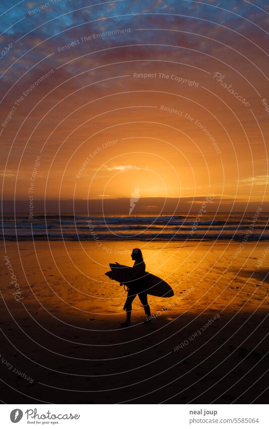 Silhouette eines Surfers im Sonnenuntergang Strand Kontrast Surfen Abend Licht Surfbrett Lifestyle Wassersport Reise Urlaub Meer Küste Aktivität sportlich