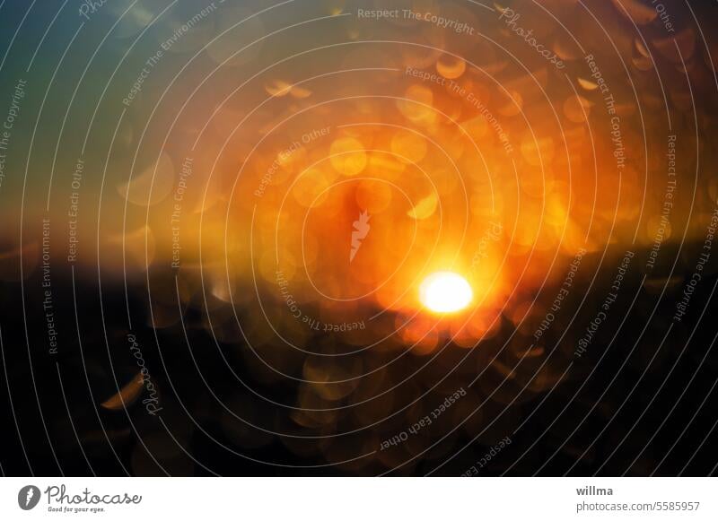 Wärmendes | Nach dem Regen Sonnenuntergang Sonnenaufgang unscharf Lichterkullern Unschärfe leuchten Lens Flares Unschärfekreise Traumbilder Regentropfen