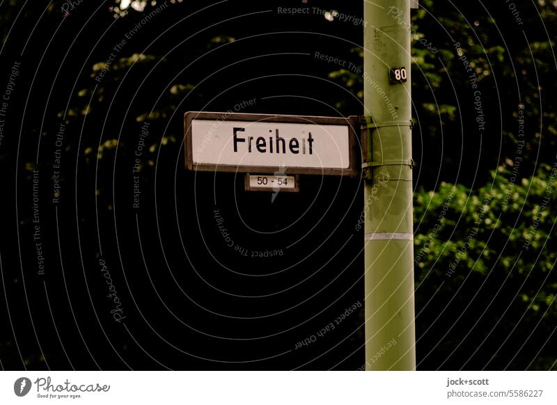 Straße Freiheit 50 - 54 Straßenschild Schilder & Markierungen Orientierung Low Key Laternenpfahl Blätter Hausnummer Kennzeichnung Deutsch Wort Verkehrswege
