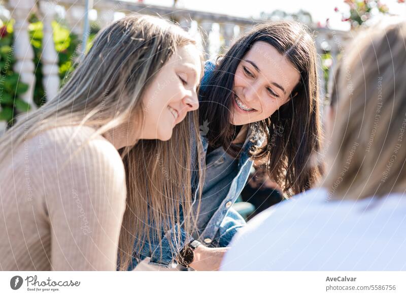 Junge Frauen studieren gemeinsam in einem Haus und teilen sich Bücher und Notizen. Ausbildung an der Universität. Menschengruppe Schüler studierend Bonden