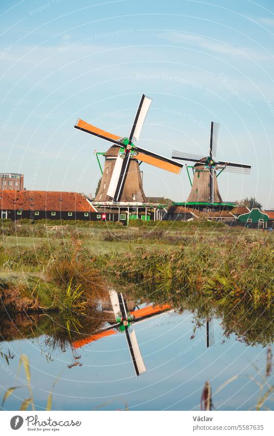 Der beliebte Touristenort Zaanse Schans liegt in der Nähe von Amsterdam im Westen der Niederlande. Historische, realistische Windmühlen bei Sonnenaufgang. Das Wahrzeichen Hollands