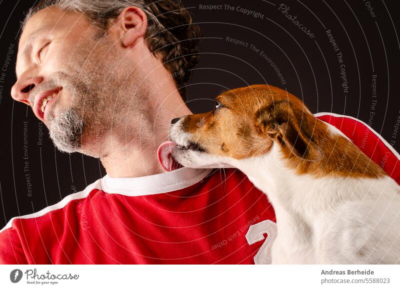 Niedlicher junger Jack Russell Terrier küsst seinen menschlichen Freund auf den Hals Jungtier jack russell Freude Fröhlichkeit aufbewahren Liebe Arme