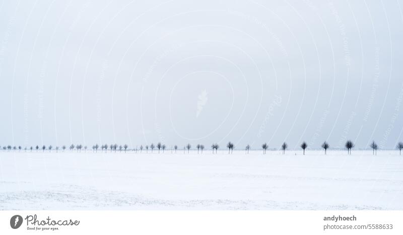Feld im Winter bei Schneefall mit Landstraße schön Schneesturm blau Cloud kalt Textfreiraum Landschaft Tag Umwelt Europa Nebel Frost frostig gefroren Hügel