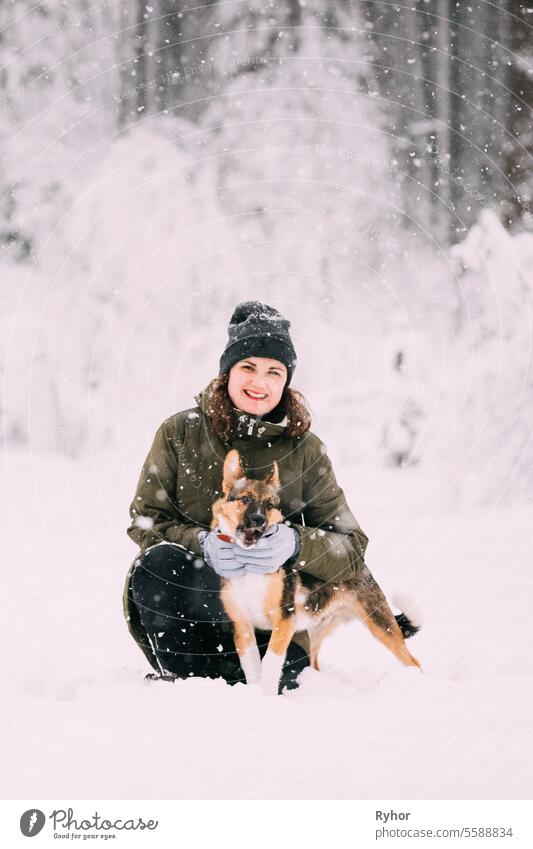 Junge kaukasische Mädchen Frau posiert mit Welpe Hund im Winter Wald in verschneiten Tag im Freien posierend Mischling freundlich Schnee genießen