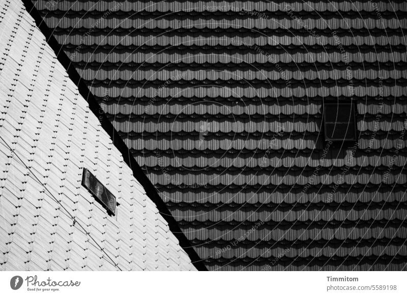 Dächer und deren Eindeckung Dach Kontrast Dachluke blitzableiter Gebäude Außenaufnahme Blitzableiter Haus Menschenleer hell und dunkel Schwarzweißfoto Linien