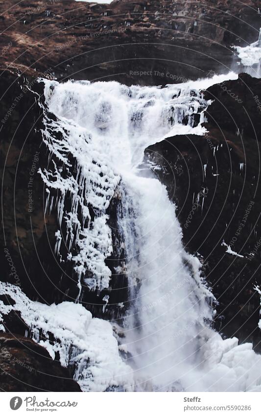 gefrorener Wasserfall Rjúkandi auf Island Ostisland Felsen frostig gefrorenes Wasser Kälte kalt weiß geheimnisvoll frieren frierend strömen fließend Ost-Island