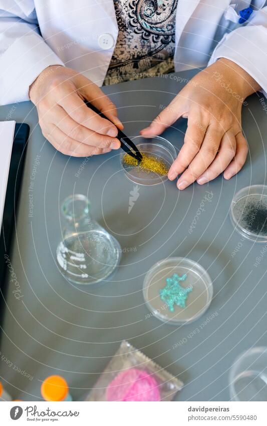 Wissenschaftlerin mit Pinzette, die eine goldene Glitzerprobe in einer Petrischale im Forschungslabor analysiert Frau unkenntlich Analysieren Glitter Probe