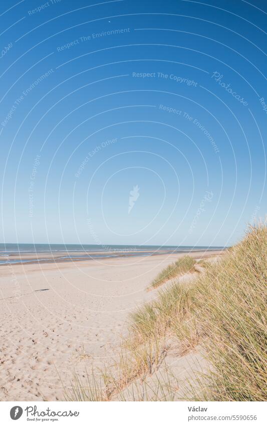 Typischer Strand an der belgischen Atlantikküste bei Tageslicht. Ein Ort der Entspannung und Erholung. Verbringen Sie Ihre Freizeit winken Landschaft