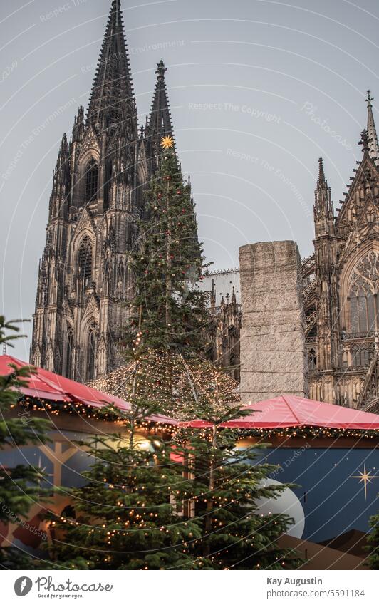 Lichterzeit auf dem Roncalli Platz Köln Kölner Dom Sehenswürdigkeit Wahrzeichen Außenaufnahme Deutschland Bauwerk Gebäude Kirche Architektur Farbfoto Stadt