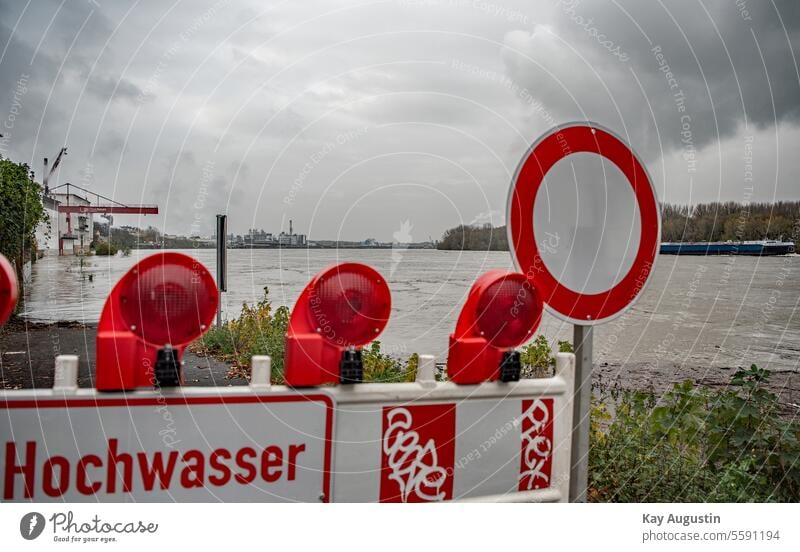 Achtung Hochwasser am Rheinufer Rheinlandschaft Außenaufnahme Baum Natur Fluss Wasser Farbfoto Flussufer Überschwemmung Klimawandel Umwelt Landschaft Unwetter
