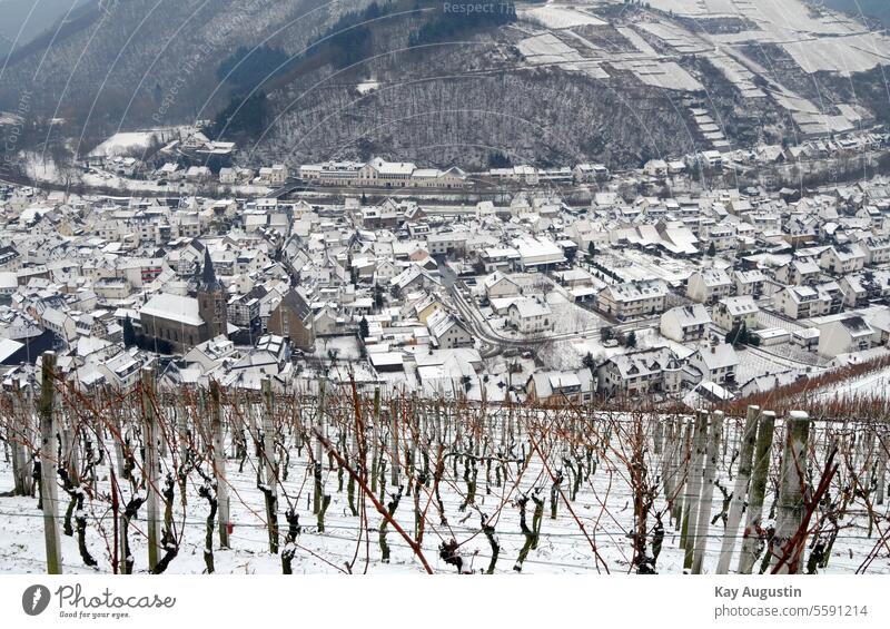 Winterliches Ahrtal bei Dernau Eifel Rheinland-Pfalz Farbfoto Natur Außenaufnahme Deutschland Weinberg Landschaft Weinbau Idylle Ausflug Winterstimmung
