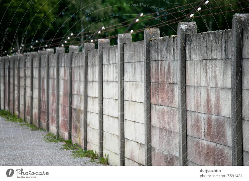 Deutsch Deutsche Geschichte.  Mauer mit Stacheldraht in Dachau. Außenaufnahme Berliner Mauer Tag Farbfoto Vergangenheit Wand historisch Menschenleer Bauwerk alt