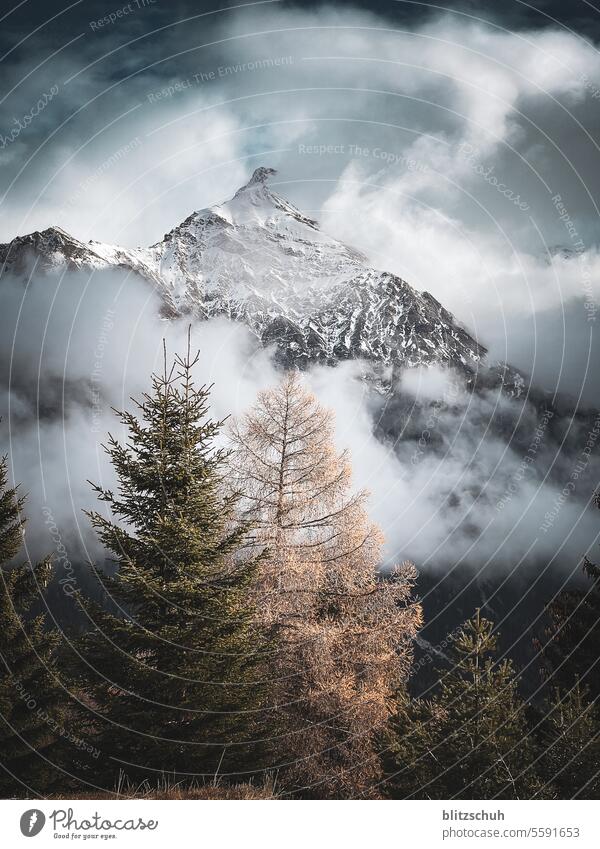 Ein Berggipfel in Wolken Natur Berge u. Gebirge Landschaft Alpen Gipfel wandern Tourismus Felsen Ferien & Urlaub & Reisen Himmel Umwelt Panorama (Aussicht)
