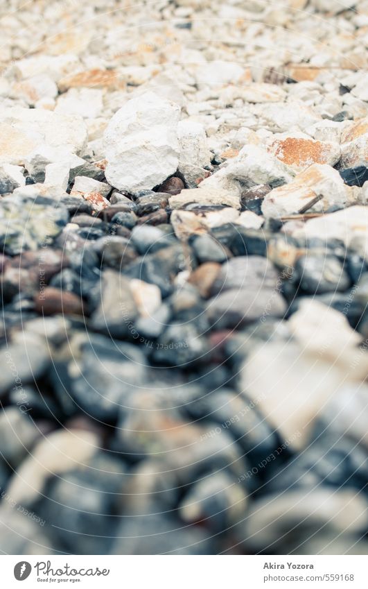 Kreide vs Stein Umwelt Küste Seeufer Ostsee berühren liegen natürlich grau orange schwarz weiß Natur Kap Arkona Farbfoto Außenaufnahme Detailaufnahme