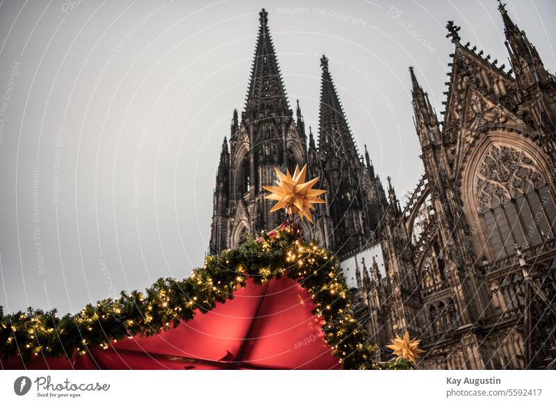 Weihnachtsmarkt am Kölner Dom Sehenswürdigkeit Wahrzeichen Farbfoto Kirche Außenaufnahme Bauwerk Religion & Glaube Architektur Stadt Gebäude Kathedrale