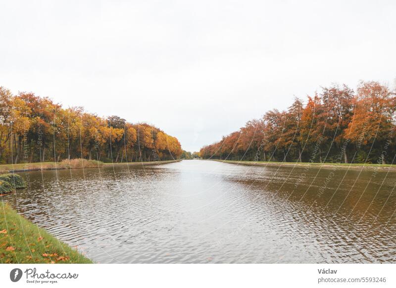 Farbenfroher Herbstwald im Nationalpark Hoge Kempen, Ostbelgien. Ein Spaziergang durch die Wildnis in der Region Flandern im November maasmechelen fließend
