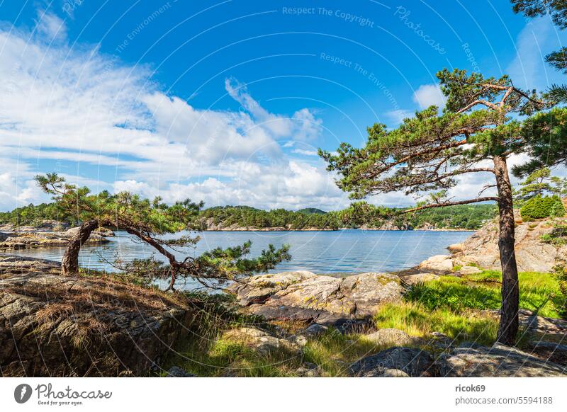 Landschaft auf der Halbinsel Riveneset in Norwegen Meer Küste Nordsee Skagerrak Schären Schärengarten Schäreninsel Felsen Sommer Wasser Natur Südnorwegen Agder