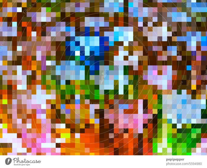 Matrix – bunte pixelige Teelichter Weihnachten & Advent bunt gemischt Pixel Quadrat auflösung Buntglas buntes glas Hintergrund Hintergrundbild mehrfarbig