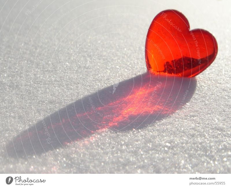 loves in the snow Zucker Puderzucker Winter kalt rot purpur weiß rein schimmern Außenaufnahme Symbole & Metaphern Kitsch Partnerschaft rund Sehnsucht Licht
