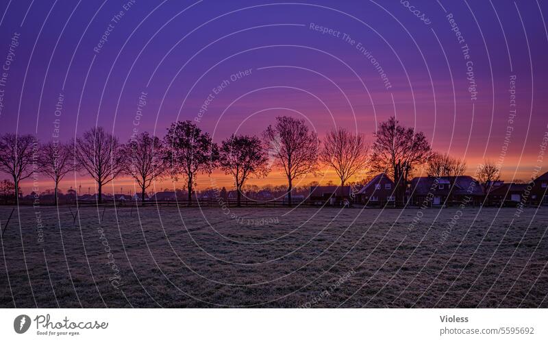 neue Heimat - Zeteler Marsch II Silhouette Bäume Niedersachsen Dunkel Morgen Sonnenaufgang Raureif