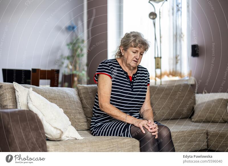 Ältere Frau sitzt zu Hause auf dem Sofa und leidet unter Knieschmerzen echte Menschen Senior reif Kaukasier älter heimwärts alt Alterung häusliches Leben