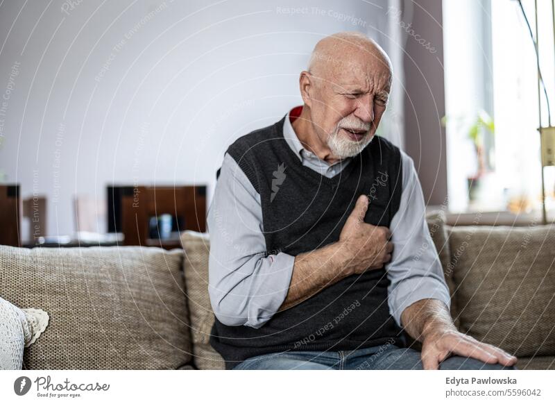 Älterer Mann leidet unter Schmerzen in der Brust, während er zu Hause auf dem Sofa sitzt echte Menschen Senior älterer Erwachsener reif männlich Kaukasier