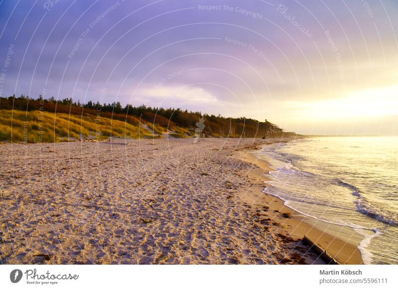 Sonnenuntergang am Weststrand an der Ostsee. Wellen, Strand, bewölkter Himmel und Sonnenschein Sandstrand Badeurlaub MEER Meer winken Wasser Landschaft wolkig