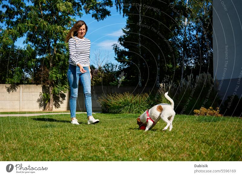 Frau geht mit Hund im Freien spazieren grün Trainerin Ball laufen Haustier Sommer Freundschaft Natur rennen Liebe Tier Glück Lifestyle Training Übung Person