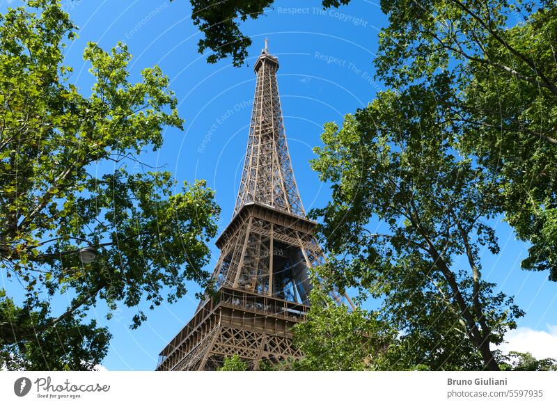 Blick auf ein historisches Monument mit Rahmen aus Vegetation. Eiffelturm bei Tag. Tour d'Eiffel Denkmal internationales Wahrzeichen Europa berühmter Ort