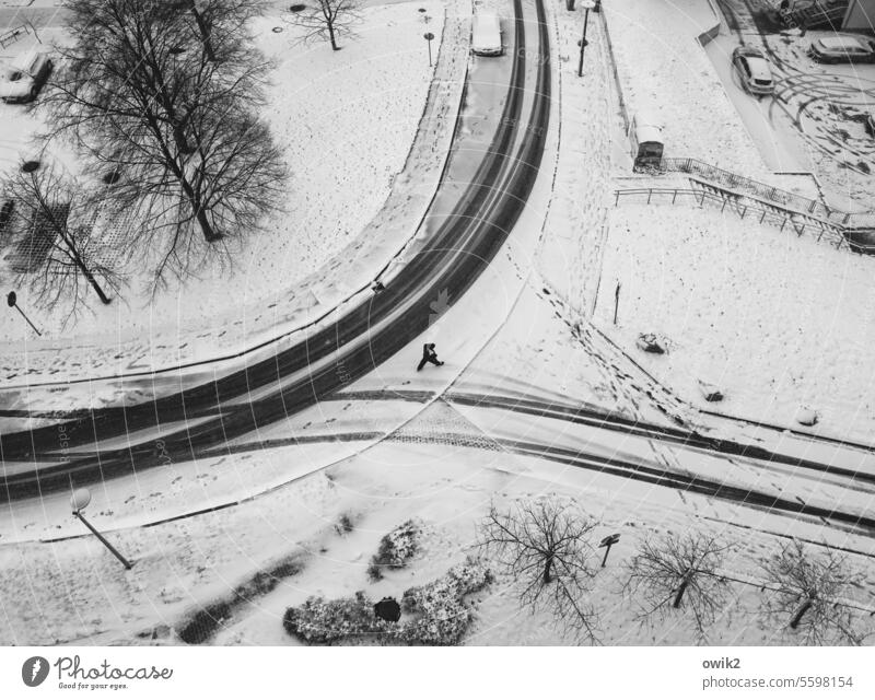 Gäweida Straße Schnee Außenaufnahme Schwarzweißfoto Bürgersteig Kurve Winter Frost Eis Detailaufnahme friedlich Vogelperspektive Sträucher Idylle kalt frisch