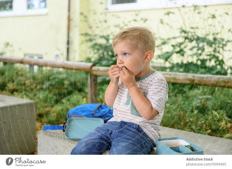 Adorable Kind Junge sitzt auf Bank mit Lunchbox und Essen im Tageslicht Vorschule essen Salatbeilage Lunch-Box bezaubernd gesunde Ernährung Sommer Lebensmittel