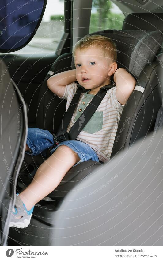 Junge auf dem Rücksitz mit Sicherheitsgurten im Auto bei Tag Kind Vorschule Tür niedlich Passagier Gurt PKW Mitfahrgelegenheit unschuldig Sitz bezaubernd