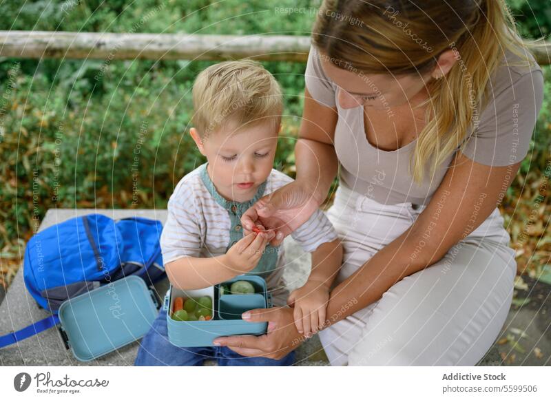 Crop junge Mutter und Sohn sitzen auf der Bank mit Lunchbox im Tageslicht Kind essen Möhre Lunch-Box Hilfsbereitschaft Beine gekreuzt Pflege Frau Junge