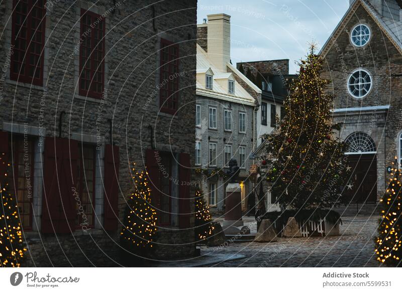 Mit Weihnachtsbeleuchtung geschmückte historische Straße in Quebec, Kanada Weihnachten Lichter Kopfsteinpflaster festlich glühend Baum rustikal Gebäude