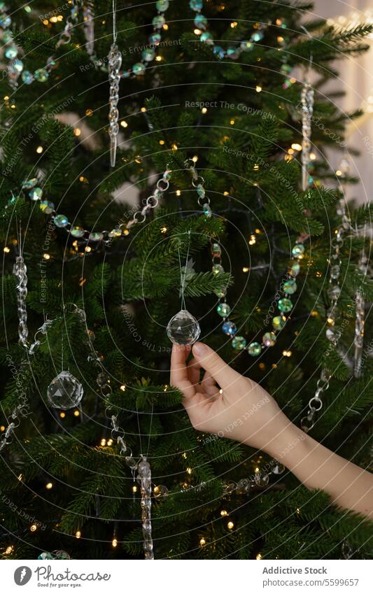 Einen festlichen Weihnachtsbaum von Hand schmücken Weihnachten Dekoration & Verzierung Baum Kugel Ornament Feiertag Licht Wulst glänzend Zierde Tradition feiern